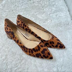 Lulus Alessia leopard kitten heels pointed toe